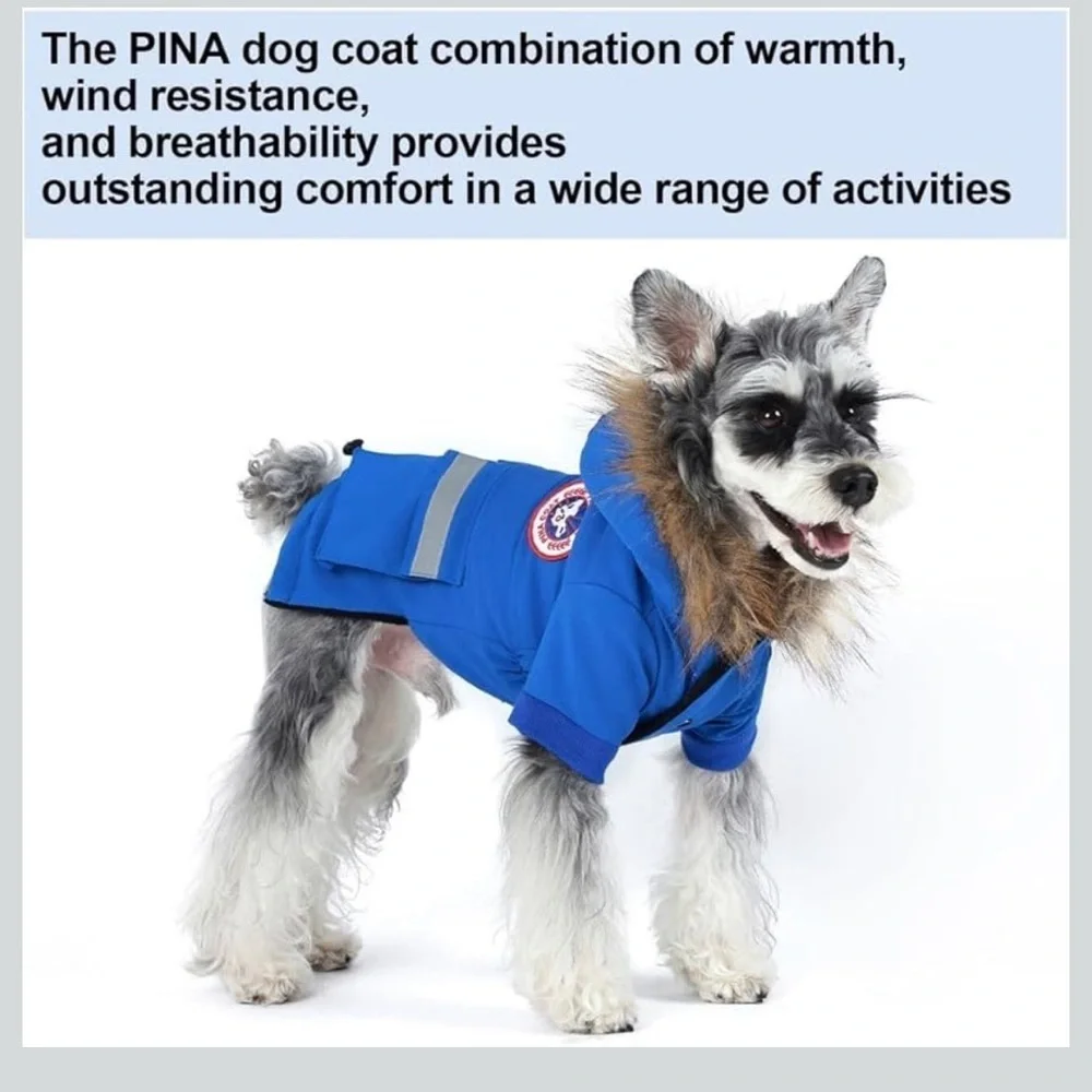 PINA size 2xl